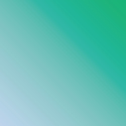 1st Capital Financial, Inc.