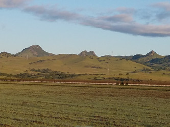 Agricultural Advisors Inc.