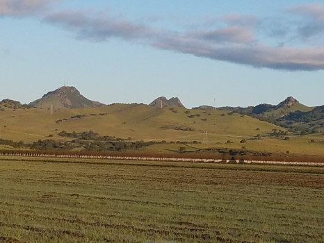 Agricultural Advisors Inc.