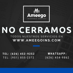 Ameego Insurance Services