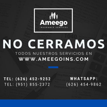 Ameego Insurance Services