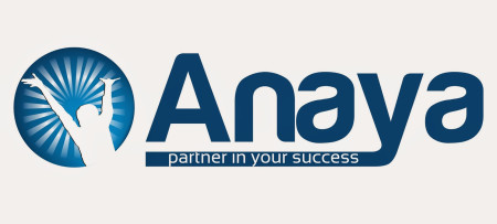 Anaya Associates PLLC CPA firm