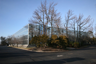 Ant CPA LLC