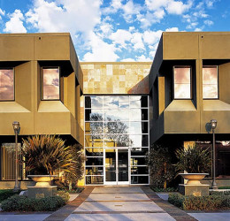 Bayshore Tax and Consulting