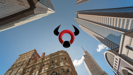 Bizon Consulting