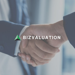 BizValuation, Inc.