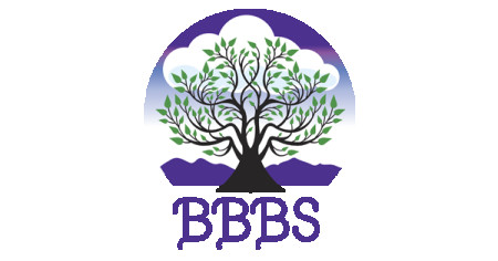 Book Busters Bookkeeping Services