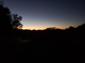 Burdell Properties
