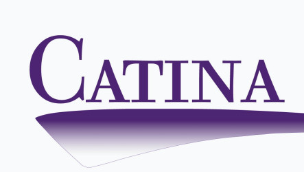 Catina Downey CPA PLLC
