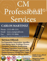 CM Professional Services