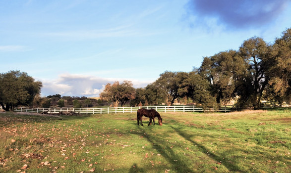 Country Accounting Solutions