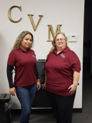 CVM Tax & Notary Services