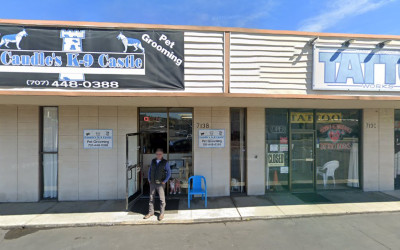 Downtown Lending Group