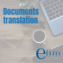 Efile Insurance Center & Multiservices