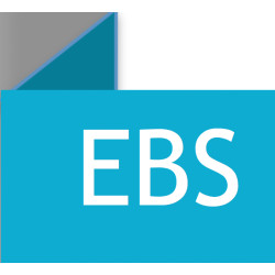 Enterprise Business Services - CPAs