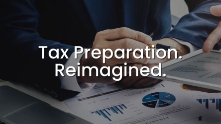 Fractional CFO and Financial Analyst