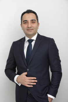 Gregory Grigoryants, Attorney