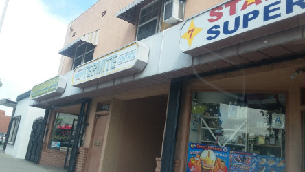 Hispanos Services