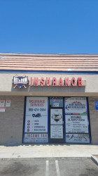 Hit and Run Insurance Services