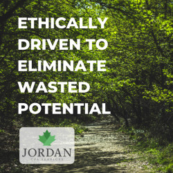 Jordan CPA Services