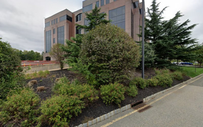 Levine Jacobs & Co. LLC
