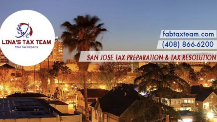 Lina's Tax Team