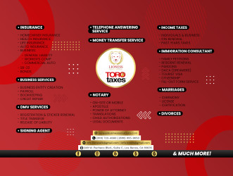 Lioness Business Solutions