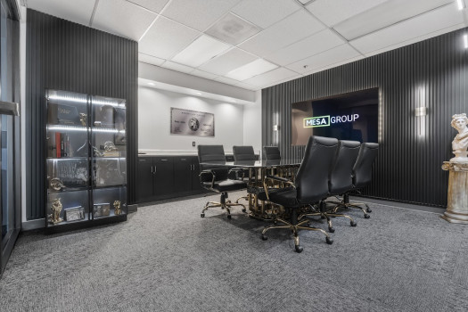 Mesa Group Consulting