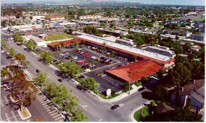Mesa Verde Consulting, Inc., Michael A. Chester, EA, CFS