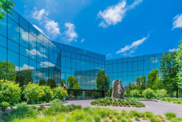 MinowCPA Corporation