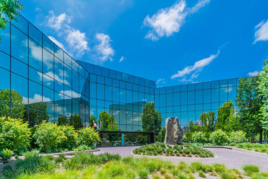 MinowCPA Corporation