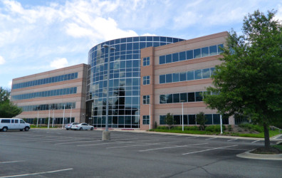 Nitya LLC