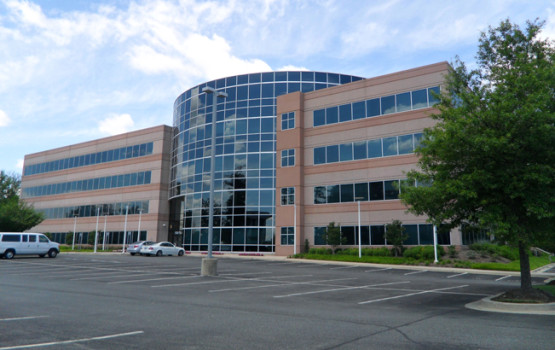Nitya LLC