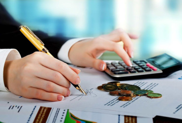 NMP Professional Services, Inc