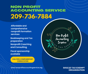 Non Profit Accounting Service