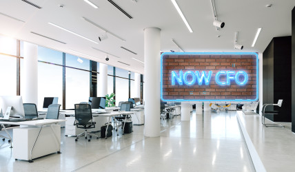 NOW CFO - Outsourced CFO Services | California