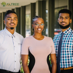 Oak Tree Financial & Tax Services