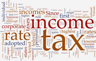 OnTheGoTaxPro LLC