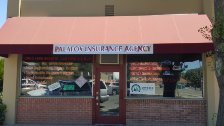 Palafox Insurance Agency, LLC & Palafox Financial Services, LLC: DMV Service/Income Tax/Notary Public/Car Registration