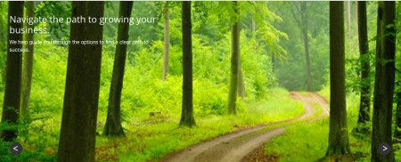 Peak Accounting Services Inc