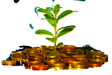 Practical Bookkeeping Solutions