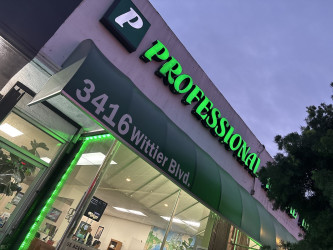 Professional Income Tax Services