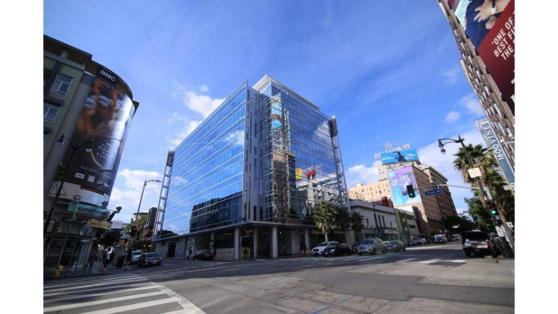 Roundleaf Los Angeles