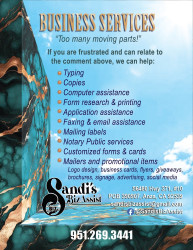 Sandi's BizAssist