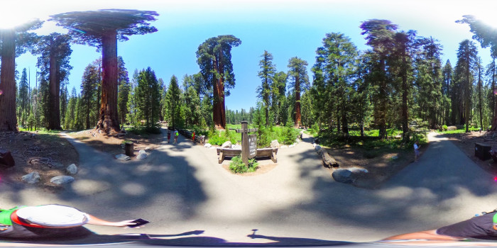Sequoia & Kings Canyon National Parks