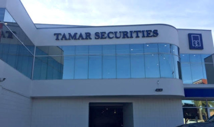 Tamar Securities LLC
