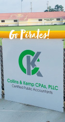 Tamara Collins Kemp CPA, PLLC