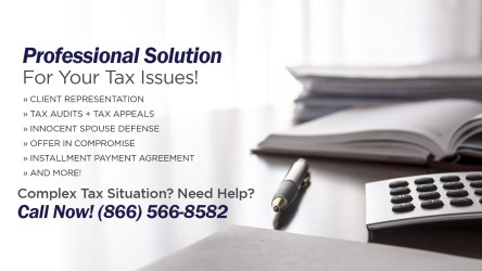 Tax Controversy Service