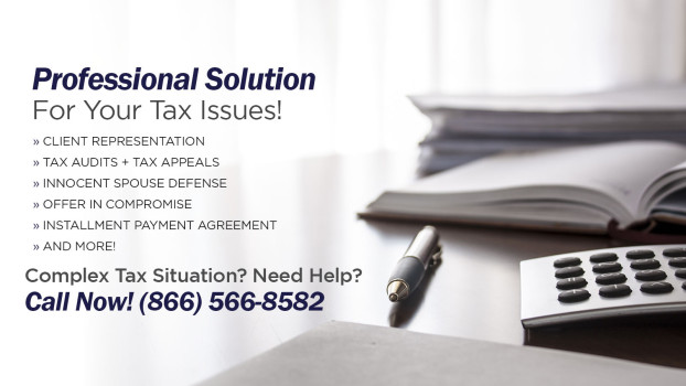 Tax Controversy Service