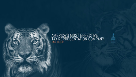 Tax Tiger Bay Area